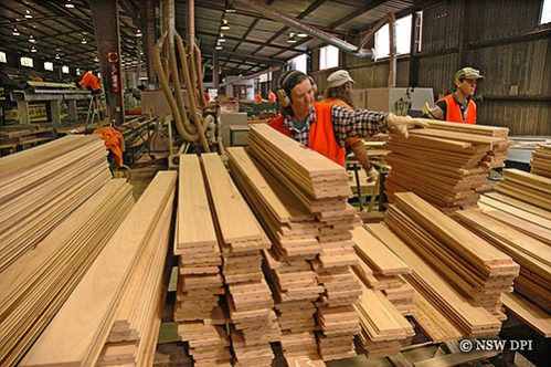 timber-processing