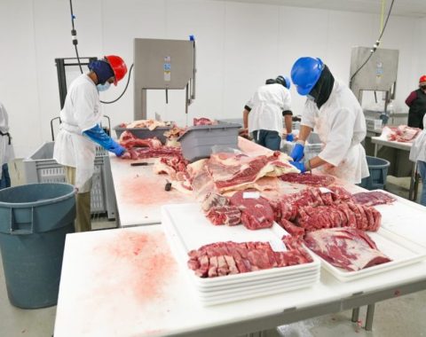 meat-processing
