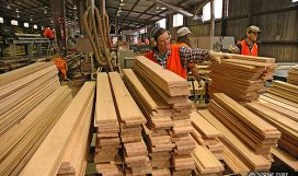 timber-processing